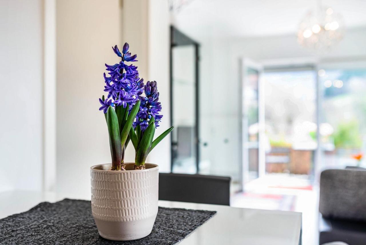 Apartmán Vogtshaus Gernsbach Exteriér fotografie