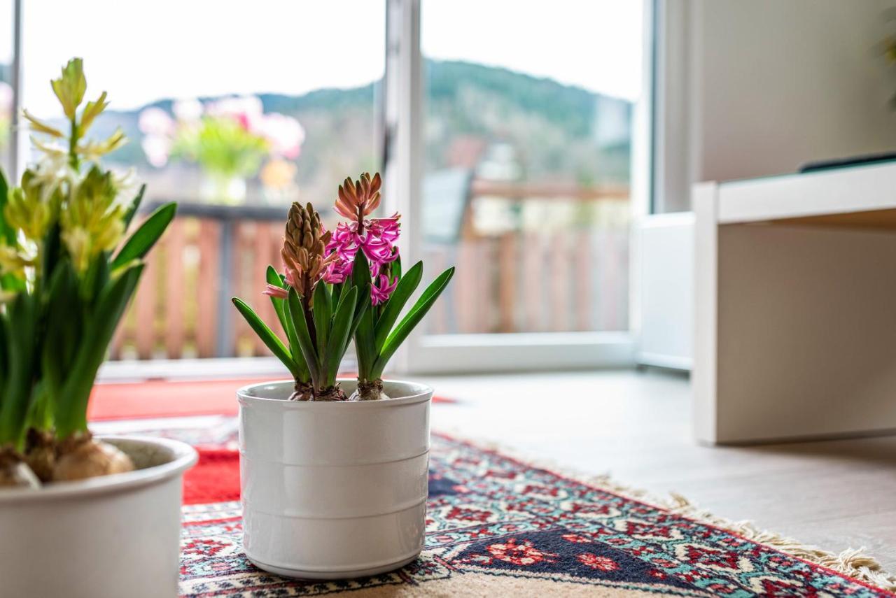 Apartmán Vogtshaus Gernsbach Exteriér fotografie